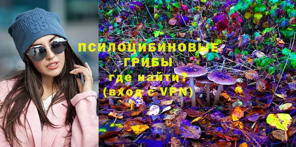 mix Новозыбков