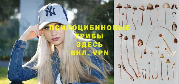 первитин Новодвинск