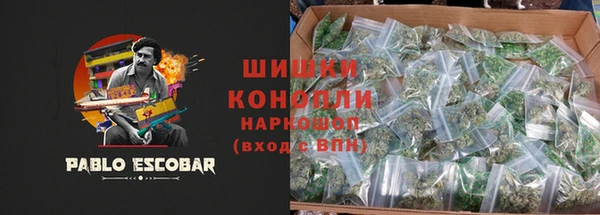 первитин Новодвинск