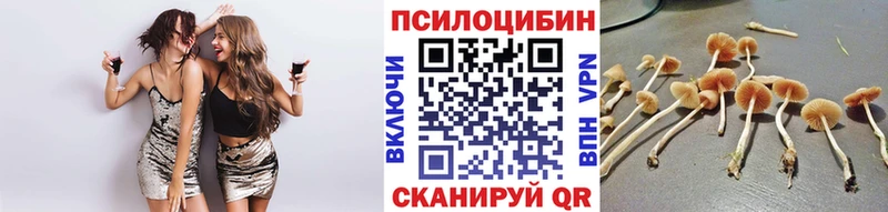 Псилоцибиновые грибы мухоморы  наркотики  Инта 